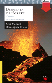 eBook, Despierta y alégrate, PPC Editorial