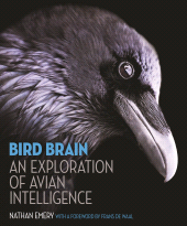 E-book, Bird Brain : An Exploration of Avian Intelligence, Princeton University Press