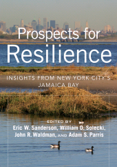 E-book, Prospects for Resilience : Insights from New York City's Jamaica Bay, Princeton University Press