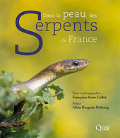 eBook, Dans la peau des serpents de France, Serre Collet, Françoise, Éditions Quae