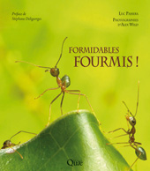 E-book, Formidables fourmis !, Éditions Quae