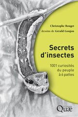 E-book, Secrets d'insectes : 1001 curiosités du peuple à 6 pattes, Bouget, Christophe, Éditions Quae