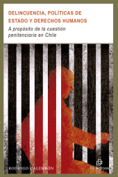 eBook, Delincuencia, políticas de Estado y derechos humanos : A propósito de la cuestión penitenciaria en Chile, Ril Editores