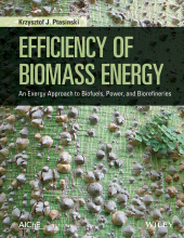 E-book, Efficiency of Biomass Energy : An Exergy Approach to Biofuels, Power, and Biorefineries, Wiley