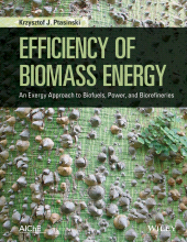E-book, Efficiency of Biomass Energy : An Exergy Approach to Biofuels, Power, and Biorefineries, John Wiley & Sons