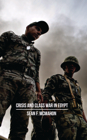 E-book, Crisis and Class War in Egypt : Social Reproduction, Factional Realignments and the Global Political Economy, Zed Books