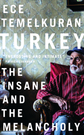 E-book, Turkey : The Insane and the Melancholy, Zed Books