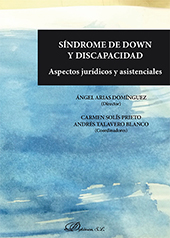 E-book, Síndrome de Down y discapacidad : aspectos jurídicos y asistenciales, Dykinson
