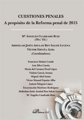 E-book, Cuestiones penales : a propósito de la reforma penal de 2015, Dykinson