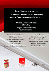 E-book, El régimen jurídico de los sectores de actividad de la Comunidad de Madrid, Dykinson