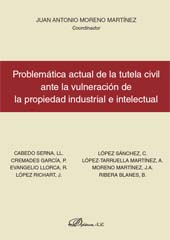 E-book, Problemática actual de la tutela civil ante la vulneración de la propiedad industrial e intelectual, Dykinson