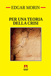 E-book, Per una teoria della crisi, Armando