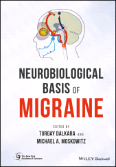 E-book, Neurobiological Basis of Migraine, Blackwell