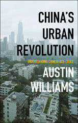 E-book, China's Urban Revolution, Bloomsbury Publishing