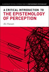 E-book, A Critical Introduction to the Epistemology of Perception, Bloomsbury Publishing