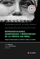 E-book, Representaciones, emergencias y resistencias de la crítica cultural : mujeres intelectuales en América Latina y el Caribe, Consejo Latinoamericano de Ciencias Sociales