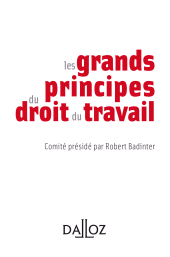 E-book, Les principes essentiels du droit du travail, Éditions Dalloz