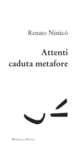 E-book, Attenti caduta metafore, Donzelli editore