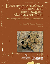 E-book, El patrimonio histórico y cultural en el paraje natural Marismas del Odiel : un enfoque diacrónico y transdisciplinar, Universidad de Huelva