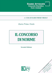E-book, Il concorso di norme, Key editore