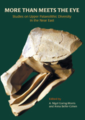 E-book, More than Meets the Eye : Studies on Upper Palaeolithic Diversity in the Near East, Oxbow Books
