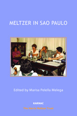 E-book, Meltzer in Sao Paulo, Phoenix Publishing House