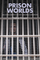 E-book, Prison Worlds : An Ethnography of the Carceral Condition, Polity Press
