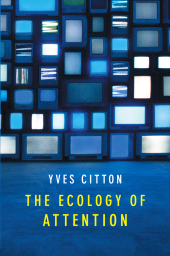 E-book, The Ecology of Attention, Polity Press