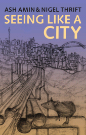 eBook, Seeing Like a City, Polity Press