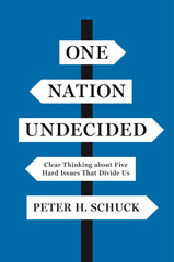 E-book, One Nation Undecided : Clear Thinking about Five Hard Issues That Divide Us, Princeton University Press