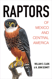 E-book, Raptors of Mexico and Central America, Princeton University Press