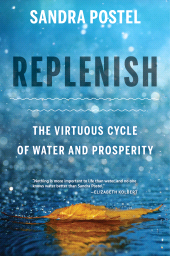 eBook, Replenish : The Virtuous Cycle of Water and Prosperity, Princeton University Press