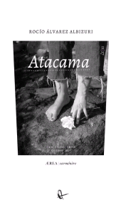 eBook, Atacama, Ril Editores