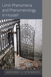 E-book, Limit-Phenomena and Phenomenology in Husserl, Rowman & Littlefield Publishers