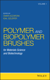 E-book, Polymer and Biopolymer Brushes : for Materials Science and Biotechnology, John Wiley & Sons