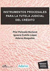 E-book, Instrumentos procesales para la tutela judicial del crédito, Cubillo López, Ignacio, Dykinson