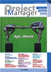 Article, Innovazione : aspetti, dinamiche e valore strategico del project management, Franco Angeli