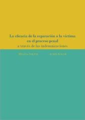 eBook, La eficacia de la reparación a la víctima en el proceso penal a través de las indemnizaciones : un estudio de campo en la Comunidad de Madrid, Soleto, Helena, Dykinson