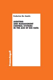 E-book, Auditing and management control systems in the age of big data, Franco Angeli