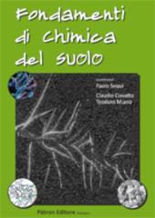 E-book, Fondamenti di chimica del suolo, Pàtron