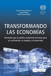 E-book, Transformando las economías : haciendo que la política industrial funcione para el crecimiento, el empleo y el desarrollo, Plaza y Valdés