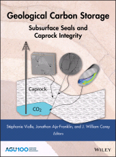 E-book, Geological Carbon Storage : Subsurface Seals and Caprock Integrity, American Geophysical Union