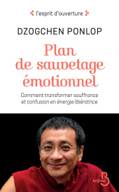 eBook, Plan de sauvetage émotionnel, Belfond