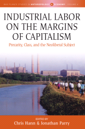 E-book, Industrial Labor on the Margins of Capitalism : Precarity, Class, and the Neoliberal Subject, Berghahn Books