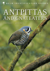 E-book, Antpittas and Gnateaters, Bloomsbury Publishing