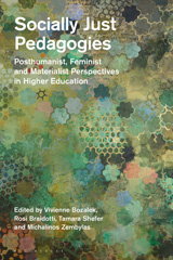 eBook, Socially Just Pedagogies, Bloomsbury Publishing