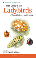 E-book, Field Guide to the Ladybirds of Great Britain and Ireland, Bloomsbury Publishing