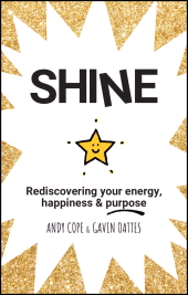 E-book, Shine : Rediscovering Your Energy, Happiness and Purpose, Capstone