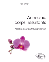 eBook, Anneaux, corps, résultants : Algèbre pour L3/M1/agrégation, Édition Marketing Ellipses