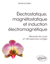 E-book, Électrostatique, magnétostatique et induction électromagnétique : Résumés de cours et 120 exercices corrigés, Édition Marketing Ellipses